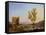 View of the Outskirts of Rome-Pierre Henri de Valenciennes-Framed Stretched Canvas