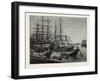 View of the Port of Calcutta, India-null-Framed Giclee Print