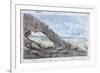 View of the Pyramids, Egypt, 19th Century-Wilkinson-Framed Giclee Print