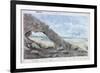 View of the Pyramids, Egypt, 19th Century-Wilkinson-Framed Giclee Print