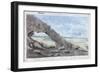 View of the Pyramids, Egypt, 19th Century-Wilkinson-Framed Giclee Print