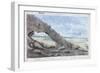 View of the Pyramids, Egypt, 19th Century-Wilkinson-Framed Giclee Print