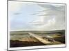 'View of the Railway across Chat Moss', Liverpool and Manchester Railway, 1833-Henry Pyall-Mounted Giclee Print