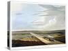 'View of the Railway across Chat Moss', Liverpool and Manchester Railway, 1833-Henry Pyall-Stretched Canvas