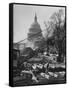 View of the Renovation of the New Capitol Building-null-Framed Stretched Canvas