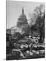 View of the Renovation of the New Capitol Building-null-Mounted Photographic Print