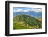 View of the rice fields and harvest, Sapa, Vietnam.-Michele Niles-Framed Photographic Print