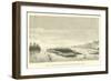 View of the River Apu-Paro and the Sacramento Plains-Édouard Riou-Framed Giclee Print