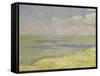 View of the River Scheldt, 1893-Th?o van Rysselberghe-Framed Stretched Canvas
