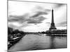 View of the River Seine and the Eiffel Tower - Paris - France - Europe-Philippe Hugonnard-Mounted Photographic Print