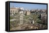 View of the Roman Forum (Foro Romano) from the Palatine Hill, Rome, Lazio, Italy-Stuart Black-Framed Stretched Canvas