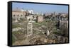 View of the Roman Forum (Foro Romano) from the Palatine Hill, Rome, Lazio, Italy-Stuart Black-Framed Stretched Canvas