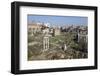 View of the Roman Forum (Foro Romano) from the Palatine Hill, Rome, Lazio, Italy-Stuart Black-Framed Photographic Print