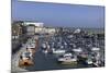 View of the Royal Harbour and Marina at Ramsgate, Kent, England, United Kingdom-John Woodworth-Mounted Photographic Print