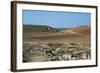 View of the Ruins of Ebla-null-Framed Photographic Print