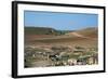 View of the Ruins of Ebla-null-Framed Photographic Print