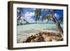 View of the Rum Point Jetty, Grand Cayman Island-George Oze-Framed Photographic Print