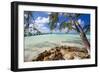 View of the Rum Point Jetty, Grand Cayman Island-George Oze-Framed Photographic Print