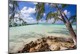 View of the Rum Point Jetty, Grand Cayman Island-George Oze-Mounted Photographic Print