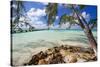 View of the Rum Point Jetty, Grand Cayman Island-George Oze-Stretched Canvas