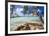 View of the Rum Point Jetty, Grand Cayman Island-George Oze-Framed Photographic Print