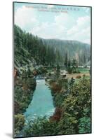 View of the Sacramento River Canyon on SP Railroad - California-Lantern Press-Mounted Art Print