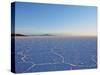 View of the Salar de Uyuni, the largest salt flat in the world, at sunrise, Daniel Campos Province,-Karol Kozlowski-Stretched Canvas