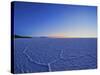 View of the Salar de Uyuni, the largest salt flat in the world, at sunrise, Daniel Campos Province,-Karol Kozlowski-Stretched Canvas