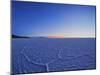 View of the Salar de Uyuni, the largest salt flat in the world, at sunrise, Daniel Campos Province,-Karol Kozlowski-Mounted Photographic Print