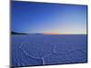 View of the Salar de Uyuni, the largest salt flat in the world, at sunrise, Daniel Campos Province,-Karol Kozlowski-Mounted Photographic Print