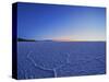 View of the Salar de Uyuni, the largest salt flat in the world, at sunrise, Daniel Campos Province,-Karol Kozlowski-Stretched Canvas