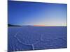 View of the Salar de Uyuni, the largest salt flat in the world, at sunrise, Daniel Campos Province,-Karol Kozlowski-Mounted Photographic Print