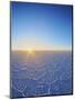 View of the Salar de Uyuni, the largest salt flat in the world, at sunrise, Daniel Campos Province,-Karol Kozlowski-Mounted Photographic Print