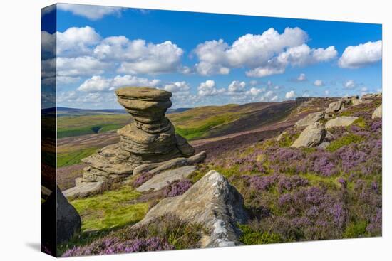 View of the Salt Cellar Rock Formation, Derwent Edge, Peak District National Park, Derbyshire-Frank Fell-Stretched Canvas