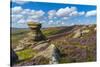 View of the Salt Cellar Rock Formation, Derwent Edge, Peak District National Park, Derbyshire-Frank Fell-Stretched Canvas