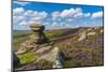 View of the Salt Cellar Rock Formation, Derwent Edge, Peak District National Park, Derbyshire-Frank Fell-Mounted Photographic Print