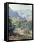 View of the San Gabriel Mountains-Rose-Framed Stretched Canvas