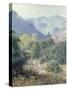 View of the San Gabriel Mountains-Rose-Stretched Canvas