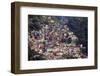 View of the Santa Marta Favela (Slum Community) Showing the Funicular Railway, Brazil-Alex Robinson-Framed Photographic Print