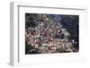 View of the Santa Marta Favela (Slum Community) Showing the Funicular Railway, Brazil-Alex Robinson-Framed Photographic Print