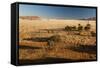 View of the Savanna. Africa. Namibia.-Lucas de Max-Framed Stretched Canvas