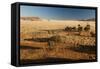 View of the Savanna. Africa. Namibia.-Lucas de Max-Framed Stretched Canvas