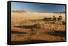 View of the Savanna. Africa. Namibia.-Lucas de Max-Framed Stretched Canvas