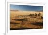 View of the Savanna. Africa. Namibia.-Lucas de Max-Framed Photographic Print