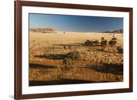 View of the Savanna. Africa. Namibia.-Lucas de Max-Framed Photographic Print