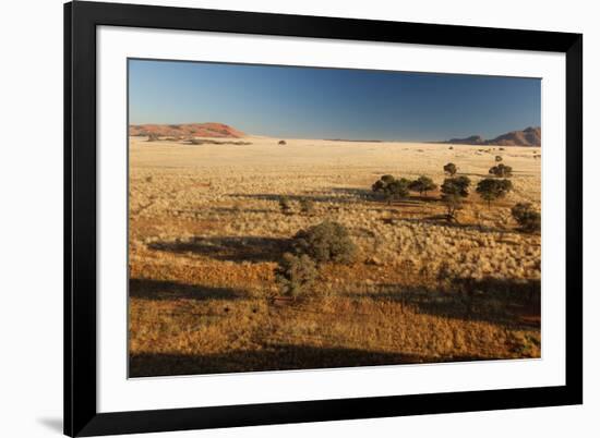 View of the Savanna. Africa. Namibia.-Lucas de Max-Framed Photographic Print