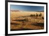 View of the Savanna. Africa. Namibia.-Lucas de Max-Framed Photographic Print
