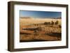 View of the Savanna. Africa. Namibia.-Lucas de Max-Framed Photographic Print