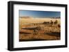 View of the Savanna. Africa. Namibia.-Lucas de Max-Framed Photographic Print