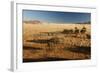 View of the Savanna. Africa. Namibia.-Lucas de Max-Framed Photographic Print